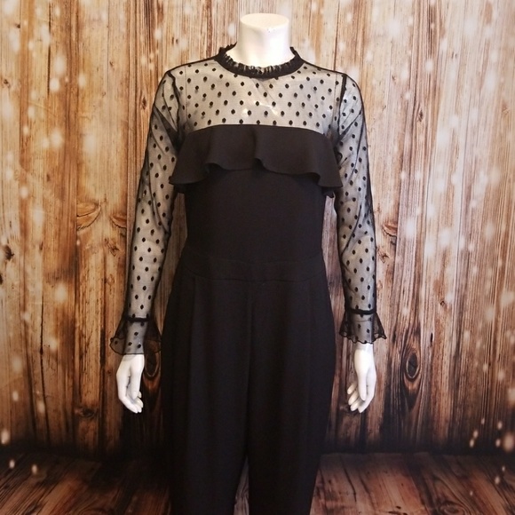 Zara Pants - Zara black jumpsuit w/mesh top